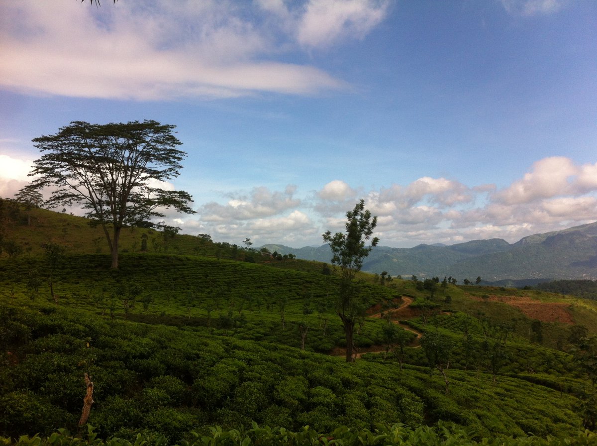 MataleArchery's tweet photo. on the way to #HunasFalls #Elkaduwa #AshburnhamEstate https://t.co/BH3DJyijk2