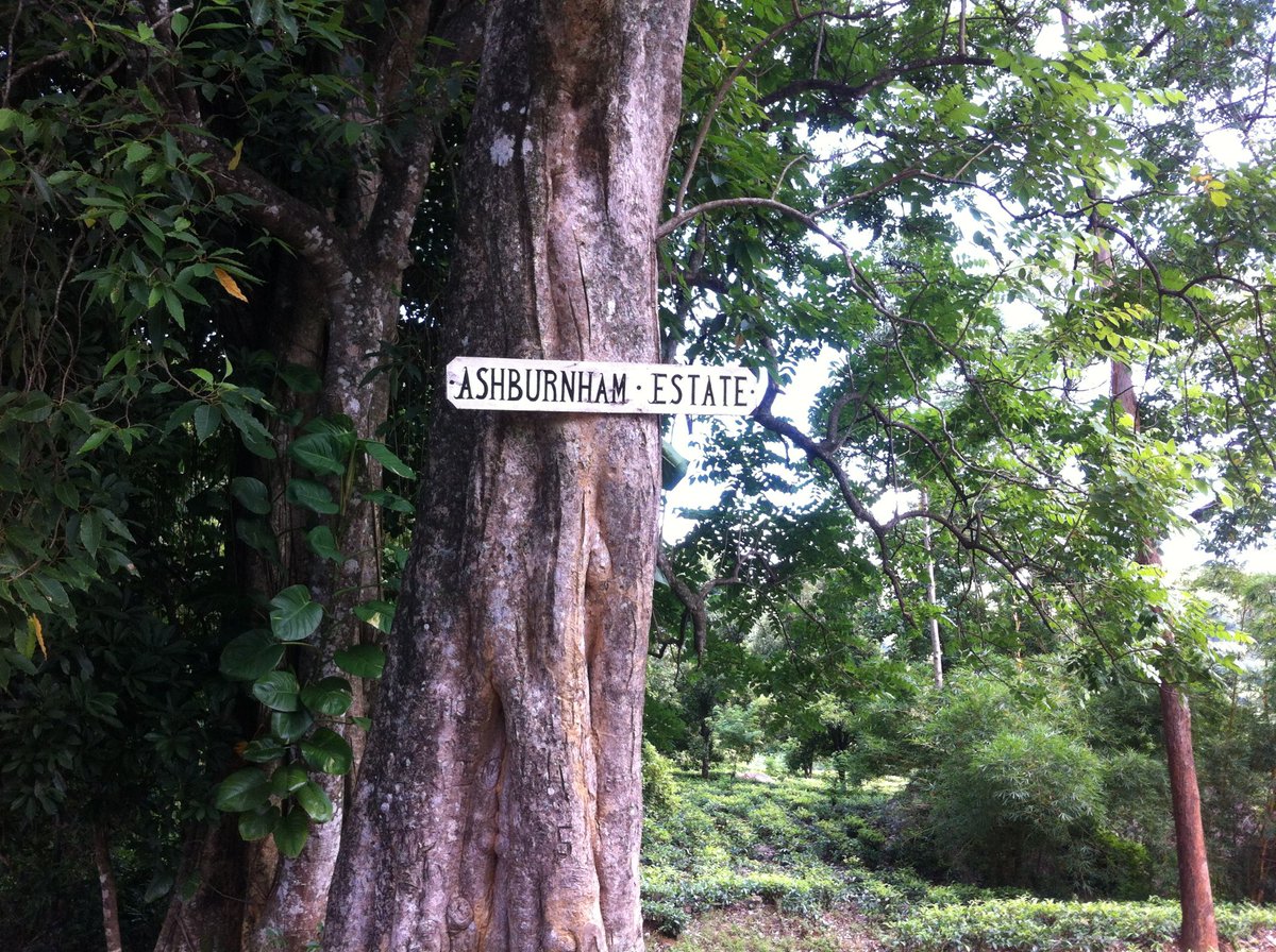 MataleArchery's tweet photo. on the way to #HunasFalls #Elkaduwa #AshburnhamEstate https://t.co/BH3DJyijk2