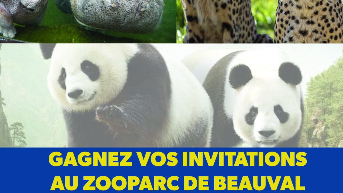 RMCDecouverte's tweet photo. ⭐️ #CONCOURS ⭐️
🦒 Tentez de remporter vos invitations pour le #ZooDeBeauval avec #RMCDécouverte pour découvrir l'un des 4 plus beaux Zoo du monde ! 🦁🐯

✅ #Follow @RMCDecouverte &amp; @zoobeauval
👍 #RT &amp; #Like
👫 #Tag un ami

📢 Résultats lundi 7 août https://t.co/aJxJnmbg06