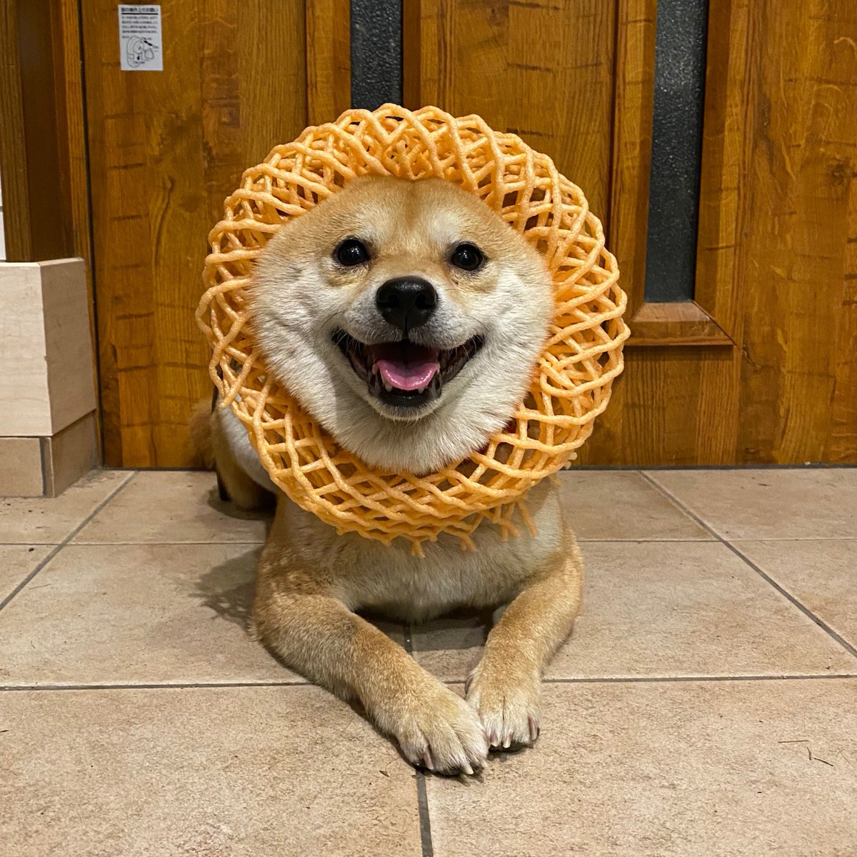 果物ネット