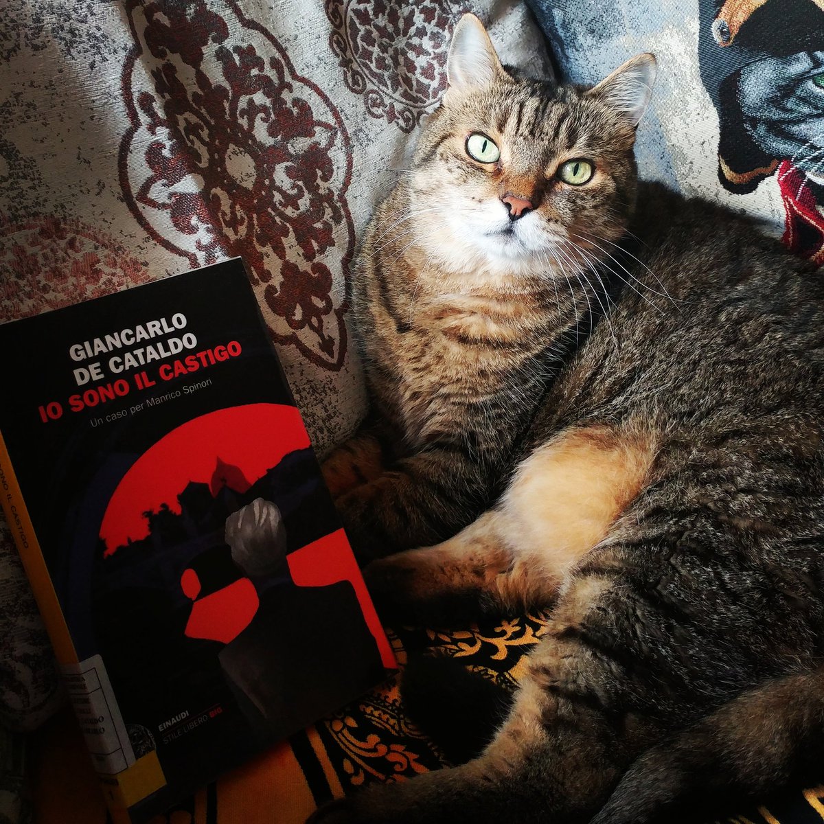 #folliperigialli #giancarlodecataldo #iosonoilcastigo #books #CatsOfTwitter @Contornidinoir @goodreads @Lia6641 @CasaLettori @Ant_Siciliano @Basil_73 @IlariaBaiardini @Einaudieditore #leggere #bookish