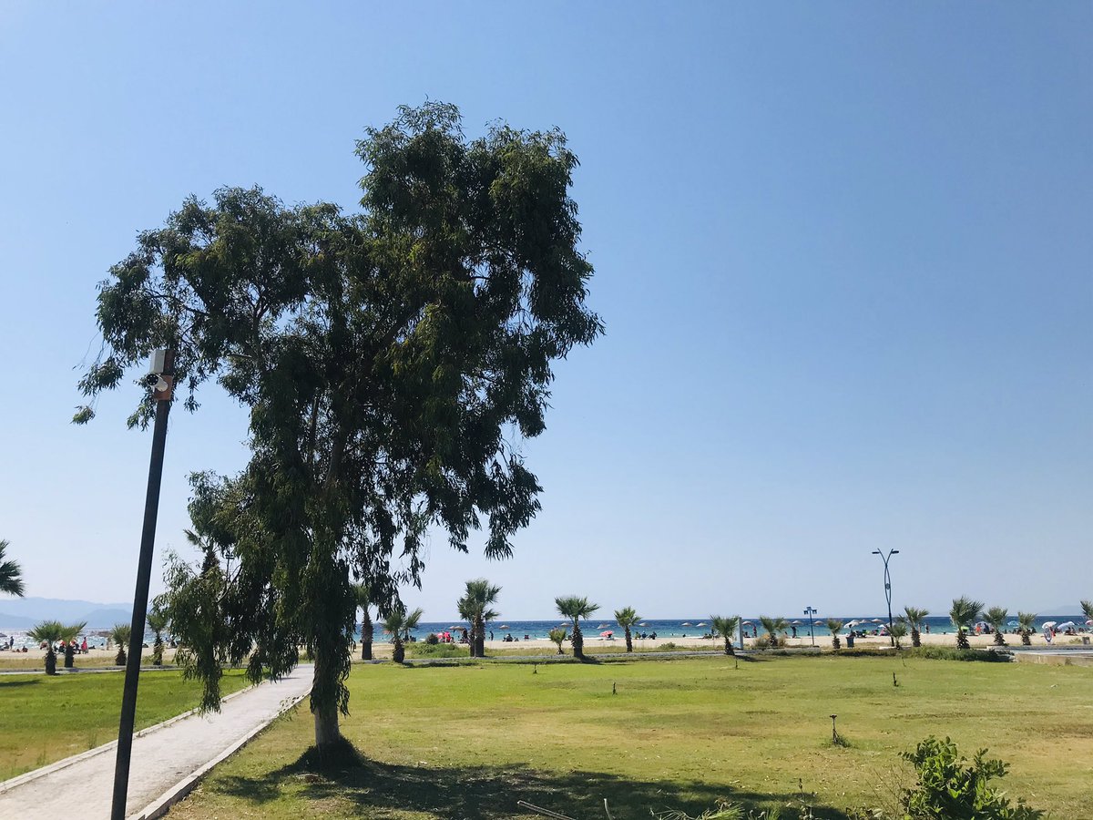 cagincizer (@cagincizer) on Twitter photo Belki de Türkiye’nin en etkin ve sürekli rüzgarlı sahili. Ne gerek var Alaçatı’ya :)) <a href="/WindsurfTurkey/">Windsurf Turkey</a> <a href="/kitesurfturkey/">Mehmet Sezgin</a> #windsurf #windsurfturkey #kuşadası #davutlar #busahildaytonabeachdengüzel #degerlerimizibilelim #kite #surf #wind #windbeachturkey #türkiye #rüzgar #rüzgarsörfü Belki de Türkiye’nin en etkin ve sürekli rüzgarlı sahili. Ne gerek var Alaçatı’ya :)) <a href="/WindsurfTurkey/">Windsurf Turkey</a> <a href="/kitesurfturkey/">Mehmet Sezgin</a> #windsurf #windsurfturkey #kuşadası #davutlar #busahildaytonabeachdengüzel #degerlerimizibilelim #kite #surf #wind #windbeachturkey #türkiye #rüzgar #rüzgarsörfü