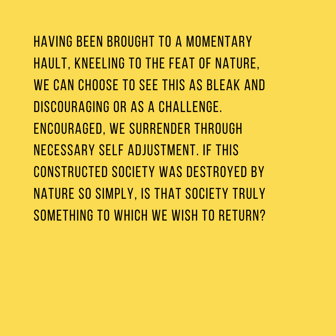 SBH (@smallbushorizon) on Twitter photo 