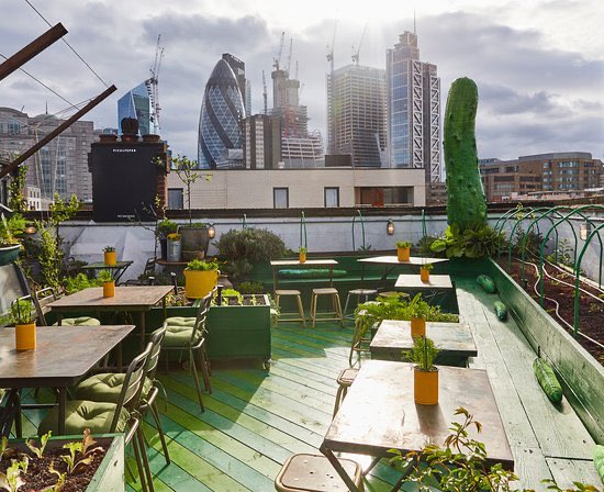 The CulpeperCute Spitafields rooftop! For people who aren’t into flowery joints lolEat out to help out: YESSpend: £40 for a 3 course meal + drink (before discount)