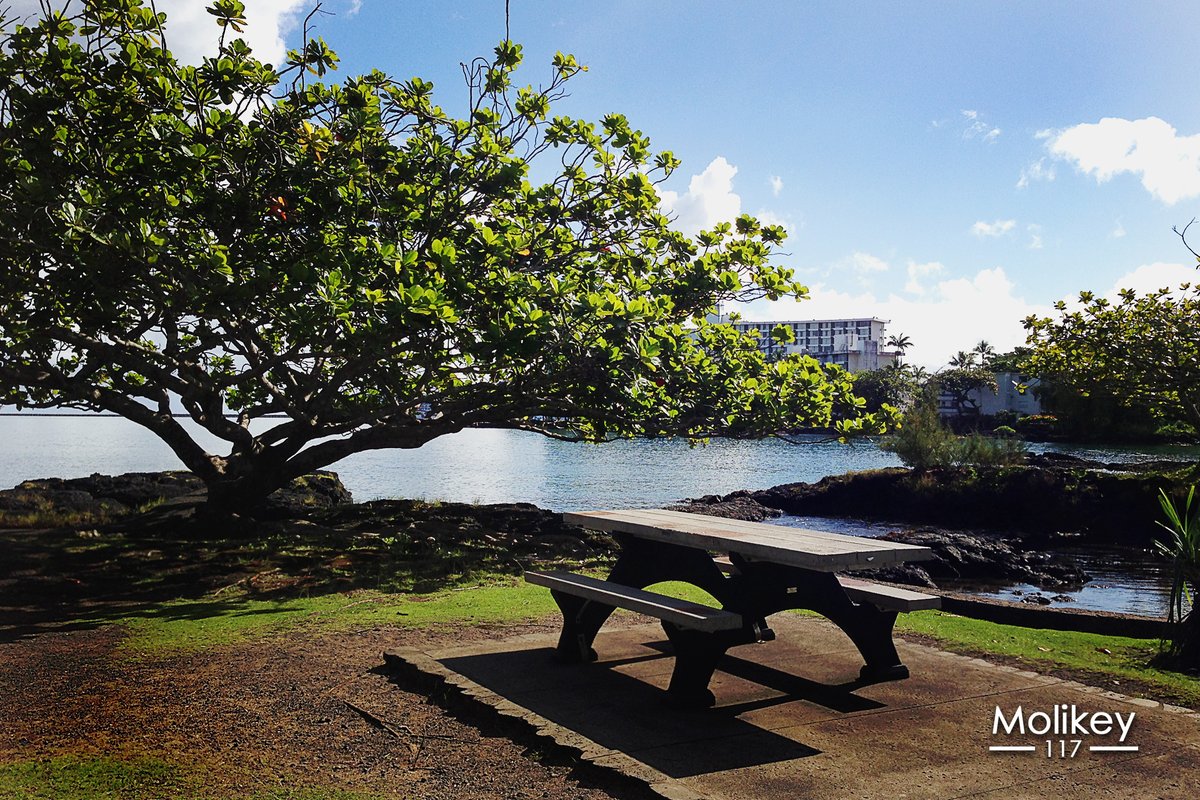 #Aloha #myphot #nature #healing #hawaiilove #hawaiivibes #bigisland #CoconutIsland #MokuOla #Mahalo