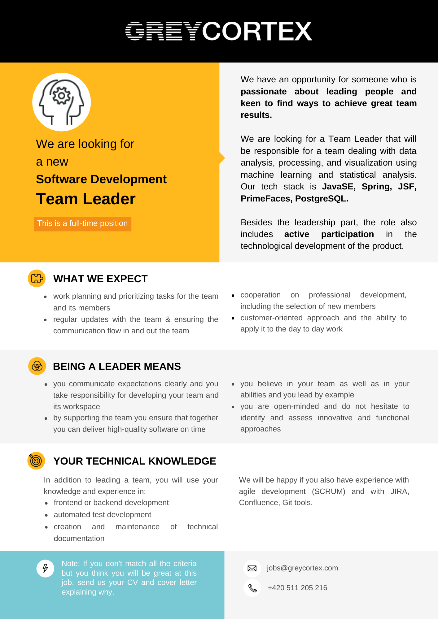 Roles and responsibilities of a team leader in software company