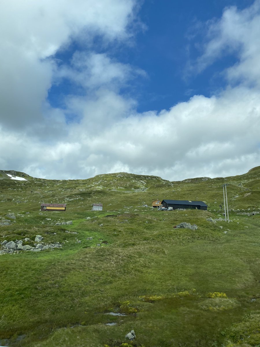 Here are some pics I have taken from the car. I love the nature in Norway!