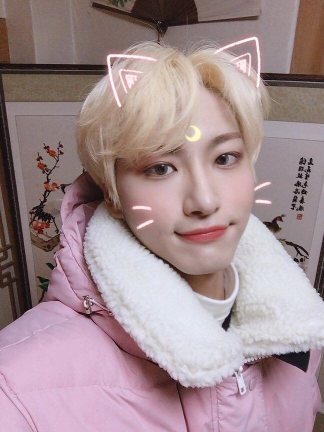 blonde seonghwa and the cute sailor moon cat filter 