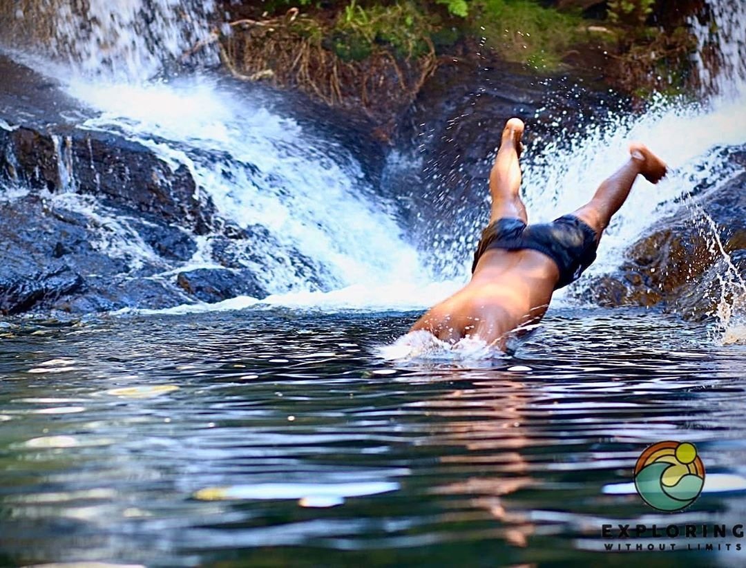 ilovevenda's tweet photo. @golimpopo @UnathiHenama @ms_tourist @sontondlovu @Limpopotv_ @Tourism_gov_za @Thobi_M @tumisole @ndavher @KeaMotlokwa @khuleonwheels We can't wait to go chasing waterfalls! From Debegeni Falls in Makgoebaskloof to the countless waterfalls in Venḓa, it's refreshing waterfalls everywhere #TravelYourLimpopo #iLoveVenda #VisitVenda #ExploringWithoutLimits https://t.co/hxQGg1c4kt