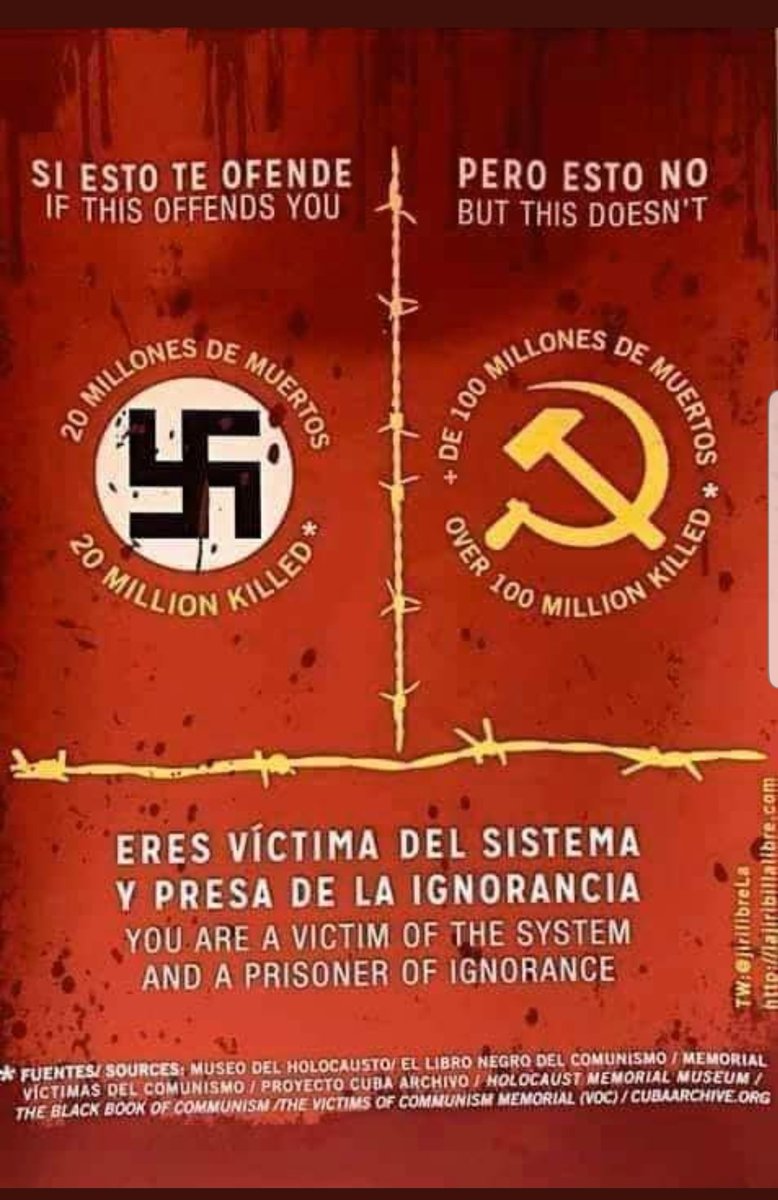 doninasio tweet media