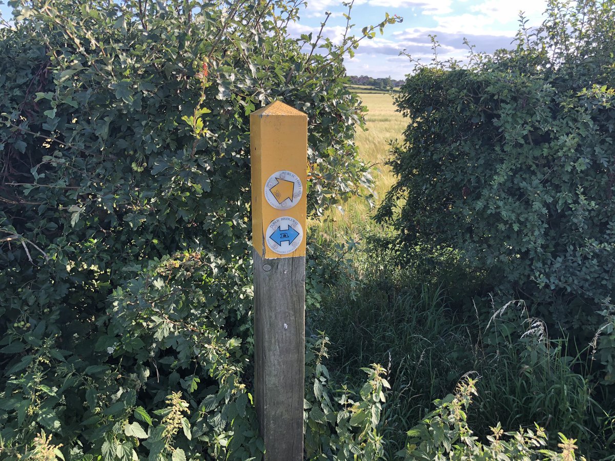 cotgraveroad's tweet photo. Apparently there have been many reports to Notts County Council about ploughed footpaths and with limited resources, chasing all up has been an issue. The Little Lane path will be cleared when the whole field is harvested over the next couple of weeks. https://t.co/XgoSGFjVB3