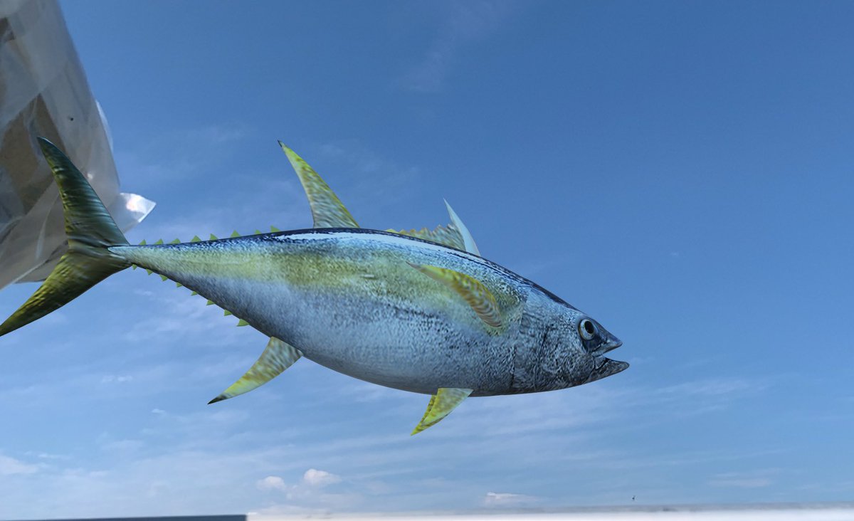 あいちゃん Mutenkurasushi これがaiが選んだまぐろ 快晴の空を気持ちよさそうに泳ぐマグロ きっと美味しいだろーな