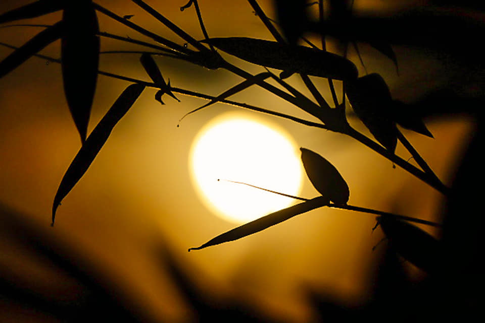 PhilippineStar's tweet photo. Have a great week!

A netizen from Pantao, Libon, Albay captured the first full moon of August on Monday. (Photos courtesy of Ramon Sison) https://t.co/zchEG79V7G