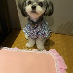 ツイートに含まれる画像