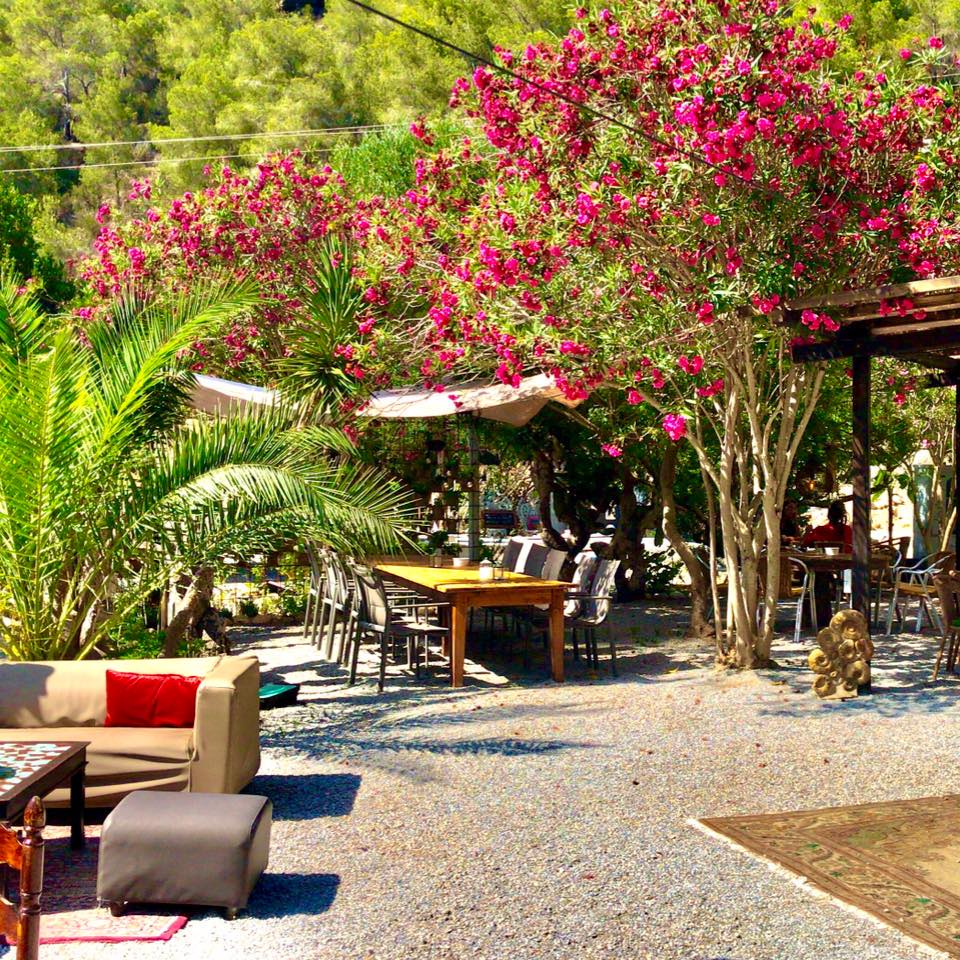 Net voor het #corona gedoe werd ik uitgenodigd naar #Ibiza te komen om te #schrijven over een nieuw #tuinrestaurant op paradijselijke plek en met een dito #sfeer. De #webteksten die ik erover schreef kun je nu lezen via de link: cestoschrijft.nl/hidden-ibiza-b… #hiddenibiza
