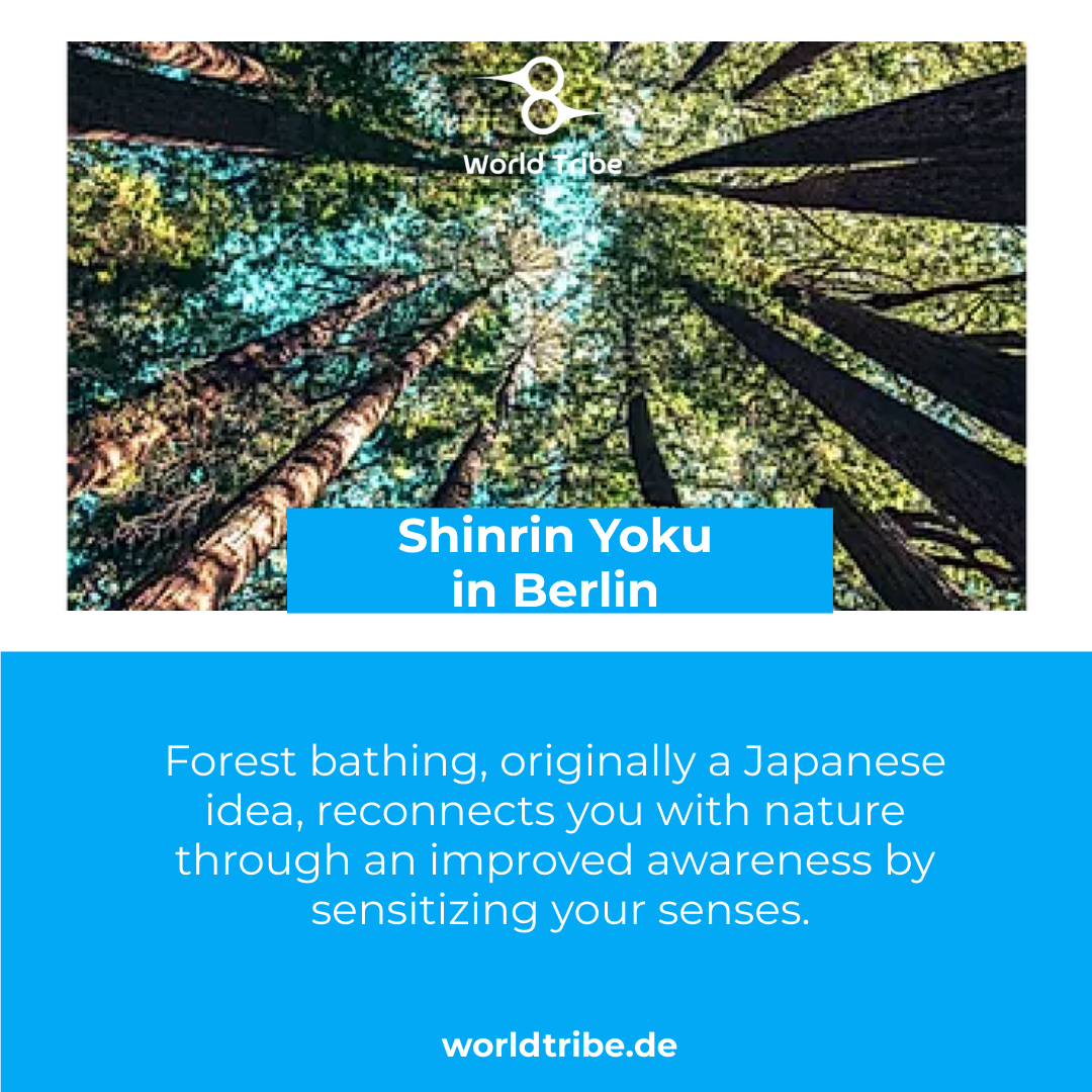 WorldTribe1's tweet photo. Shinrin Yoku for your performance🌿
⠀
Walk through the forest with us!
⠀
Try Shinrin Yoku sessions with us in Berlin &amp; Brandenburg.
⠀
We work with individuals, small groups and offer the same as a corporate team-building measure.

🌐 https://t.co/imgtmSktWt⠀

#shinrinyoku https://t.co/FtcwvIVEMU