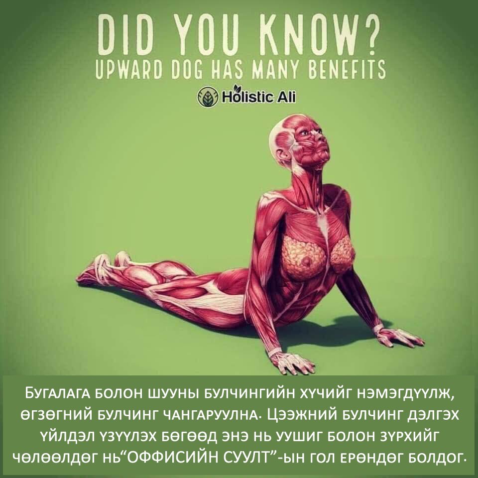 Би өдөржин суудаг ажил хийдэг дасгал хийе гэж бодоод энэ хэдийг хэд хэдэн туршсан ггүй юм шиг санагдсан туршаад үзээрэй🤗