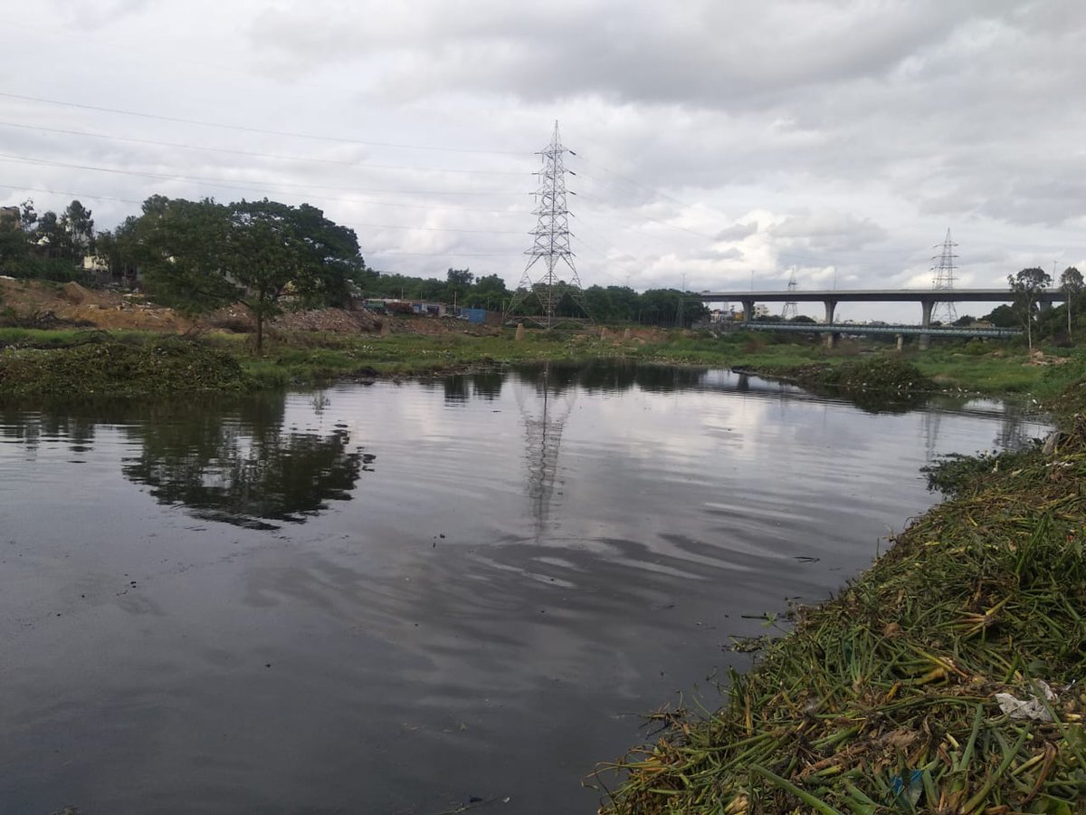 MD MRDCL tweet media