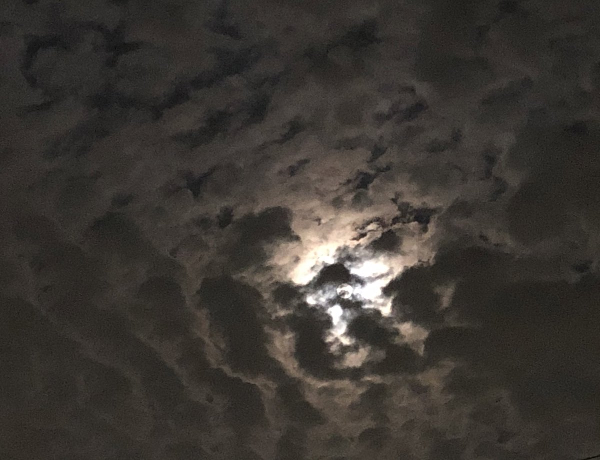 今夜は満月🌕
なんだけど、雲がおばけの行進のようでした