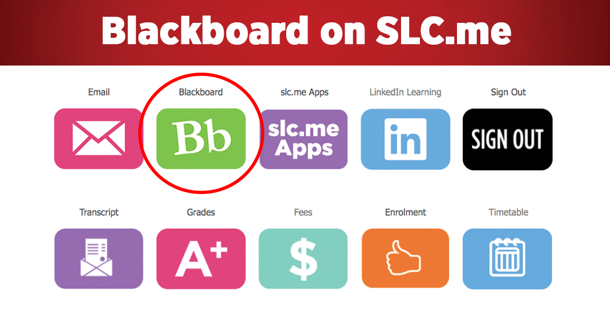 St. Lawrence College on Twitter: \