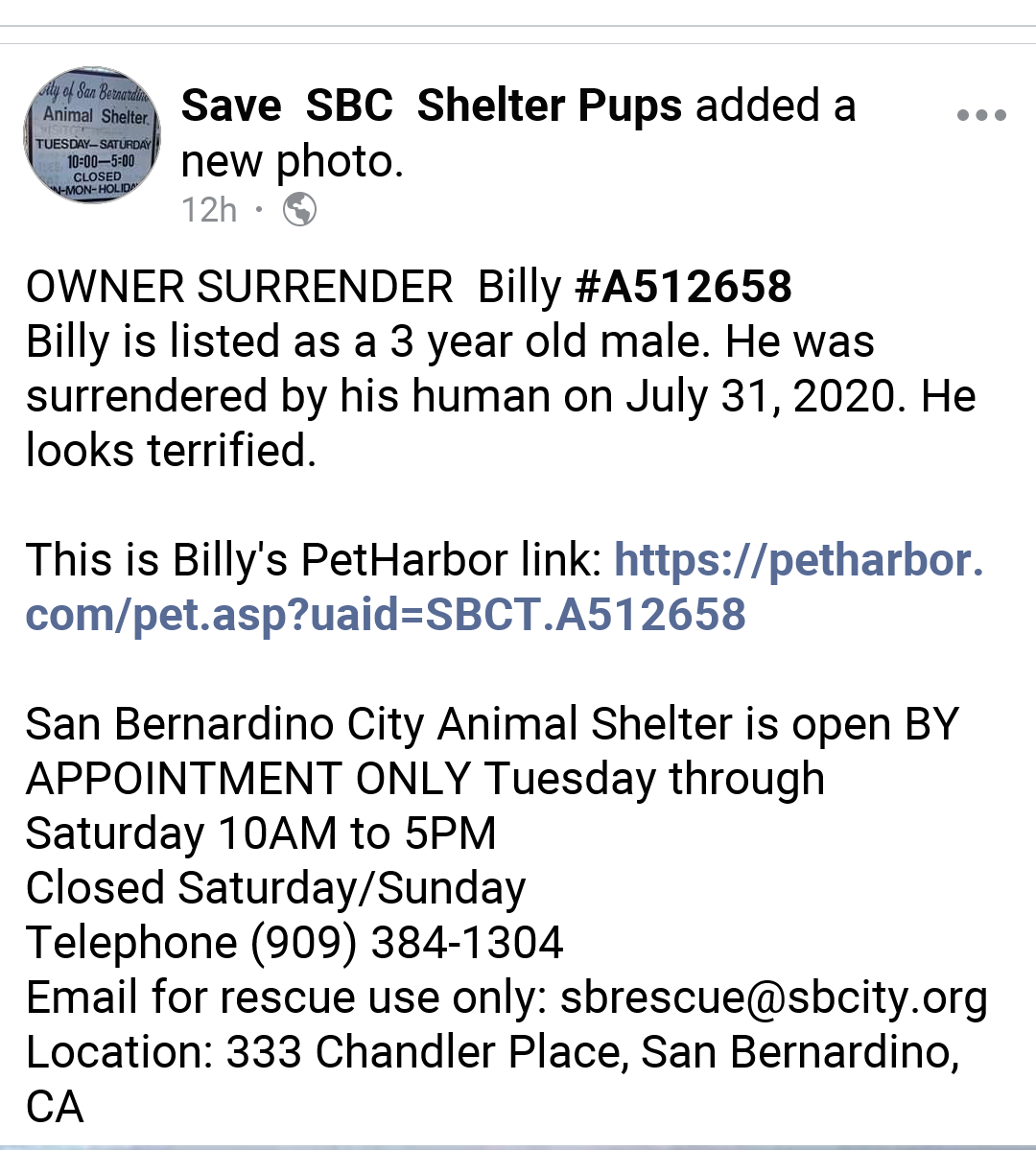 kaylamarie413's tweet photo. Billy #A512658 3 year old male #SanBernardino #CA 909-384-1304 or 909-384-7272 dumped by his family #pleaseshare #pleaseRTRT https://t.co/RmbLQ4pWBI