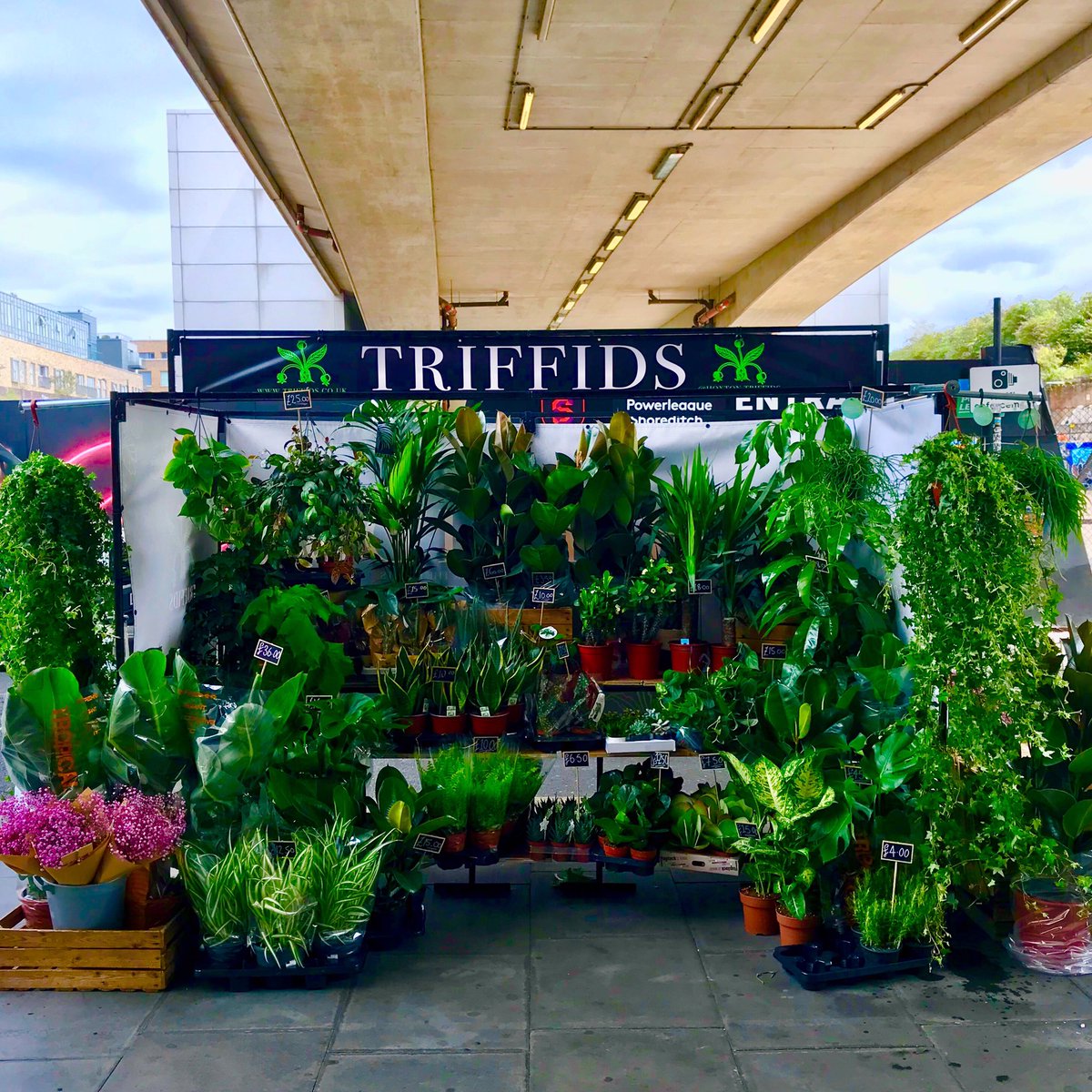 HOXTON_TRIFFIDS's tweet photo. We’re at #Shoreditch station, under the London Overgrown aka the #GingerLine @TfL see bio for times #Hoxton #Shoxton https://t.co/2SFPa7v51A https://t.co/MeUuFxkMez