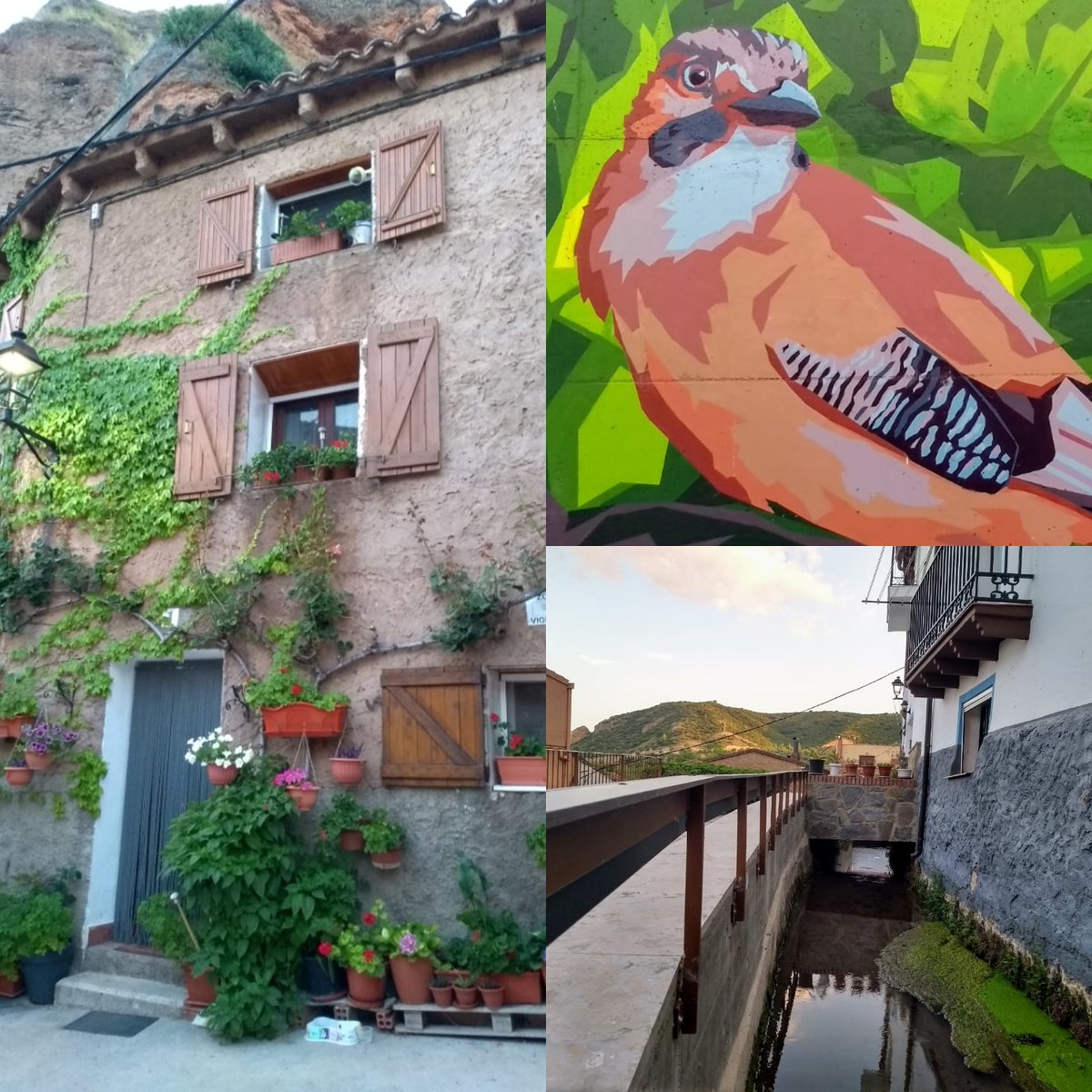 ATravelvans's tweet photo. Los #Fayos en #Zaragoza, una parada muy  interesante en nuestra #ruta. Merece la pena conocer el pueblo con su propia leyenda sobre la #cueva del Caco, donde gracias a un #gigante se formó el #Moncayo... https://t.co/aCHVxFBBZQ