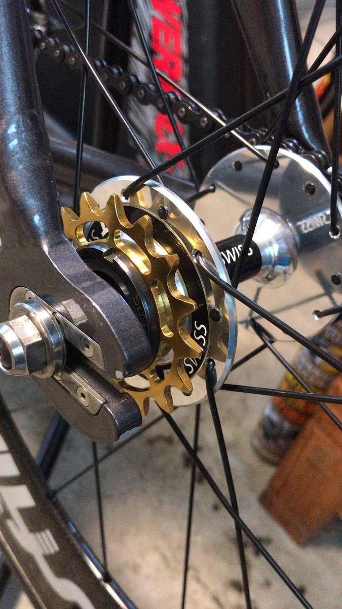 kedama104's tweet image. レース会場で威圧するなら、ゴールドだな、うんうん😻#digirit #novacorona