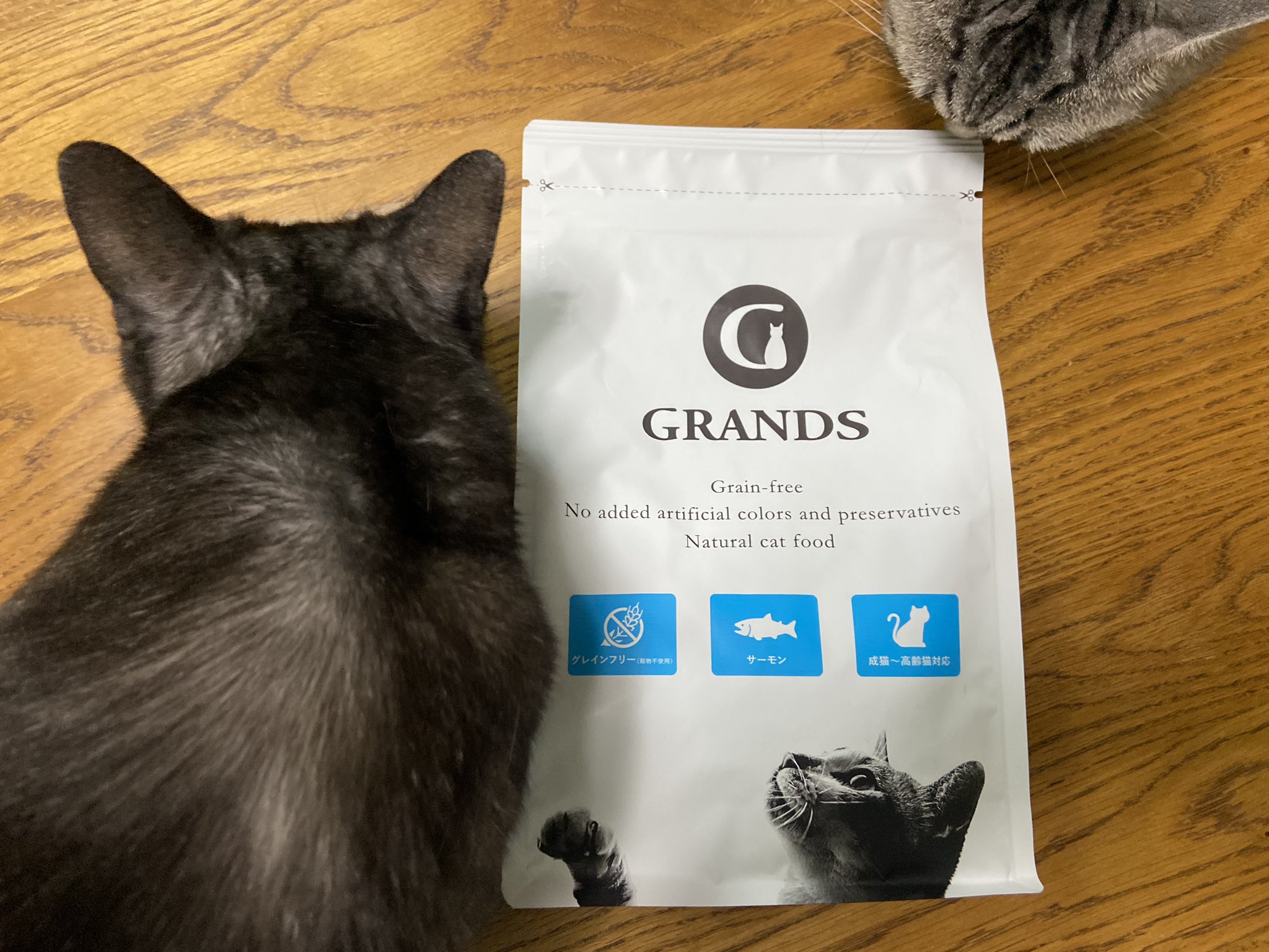 一階あさひ ヌッコbot 今日からキャットフードgrands グランツ サーモンを召し上がって頂く ﾜｲが先にテイスティングしてみたんやが人間が食べても美味い 笑 サーモンの風味と甘みが全面に出ていて後はお魚の苦味 これならいけるかも 思てあげたら