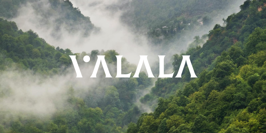 Si vous avez apprécié ce thread, suivez-nous sur Twitter ! Le lancement officiel de Valala est très proche, ne le ratez pas !  #MasqueObligatoire 