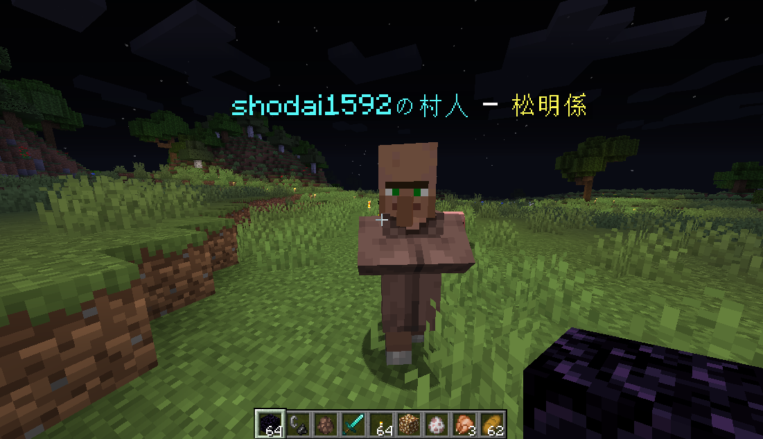 えすご ゆきちゃサーバー Yukicha2754 様のminecraftサーバー 1 16の新要素 村人を仲間にできる機能 自分についてきて 松明を暗いところに置いてくれたり アイテム拾いしてくれたり ただ 給料 食料 は与えないと働けませんよ