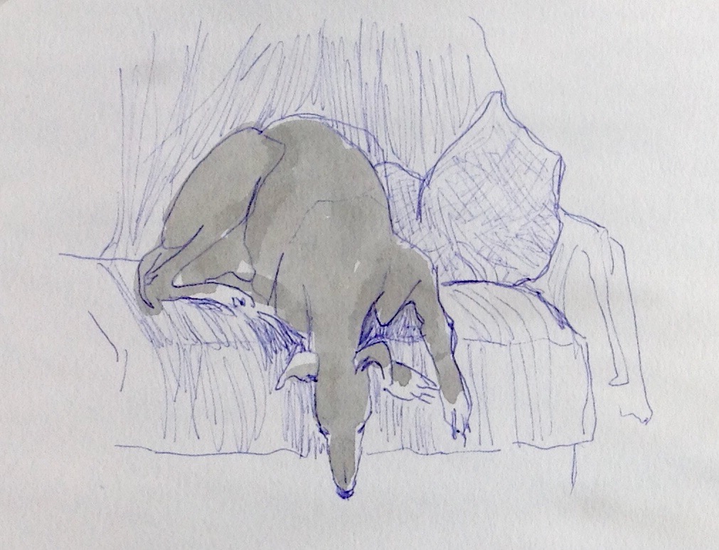 #drawingaugust Haven't posted anything for a while but inspired by <a href="/JeanEd70/">jean edwards</a> and others remembered the fun of #drawingaugust . Expect whippets!