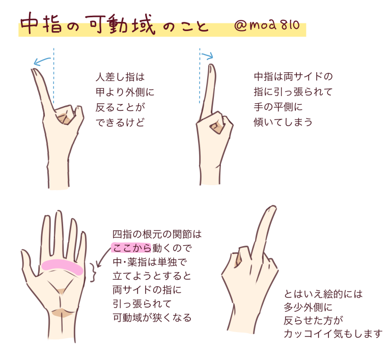 中指だけ立てた場合、人差し指に比べて可動域がかなり狭くなるというメモ。自分の場合、薬指だけ立てようとすると更に動かし辛くなるんだけど、普段から楽器を触ったりしている人だとまた変わってくるのかも? 