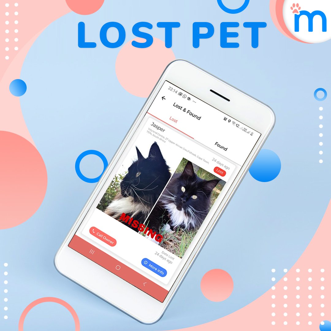 minderzsa's tweet photo. Help us find Jasper! 

One of our Minderz community members has lost their cat! Jasper 
is a 3 Yr old, tuxedo colour Maine coon with a white chest and paws.

He went missing from the Silverglades area in Fish Hoek, Cape Town.
Get more info here: https://t.co/0msKm1Eu3H

#Minderz https://t.co/7fQ9uuecr0