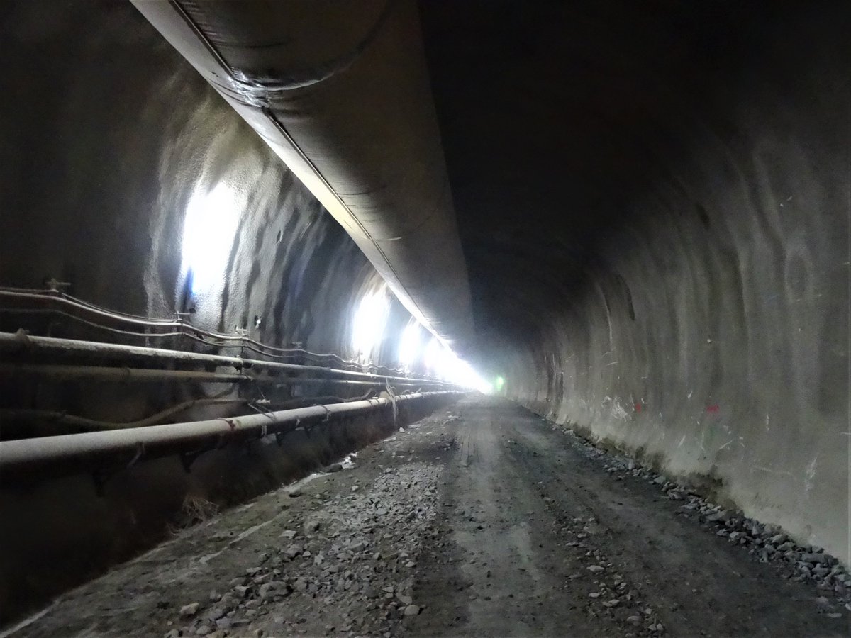 Marius Floriancic tweet media