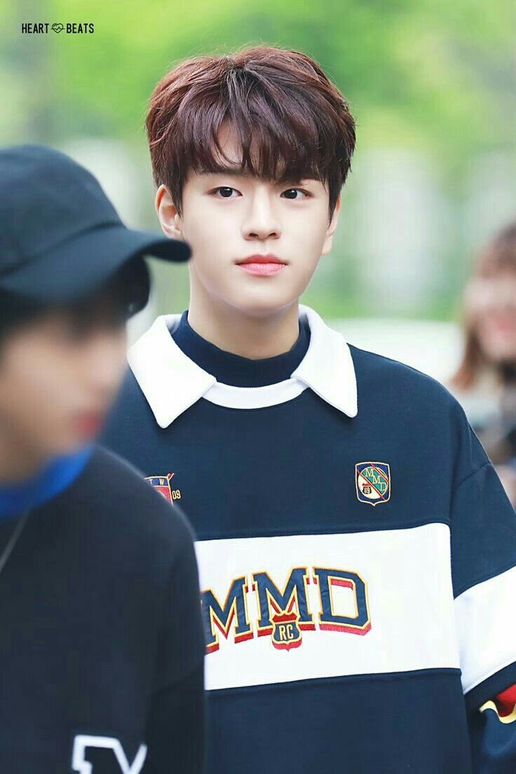 — seungmin as your highschool crush; a heart throbbing thread  #straykids    #skz