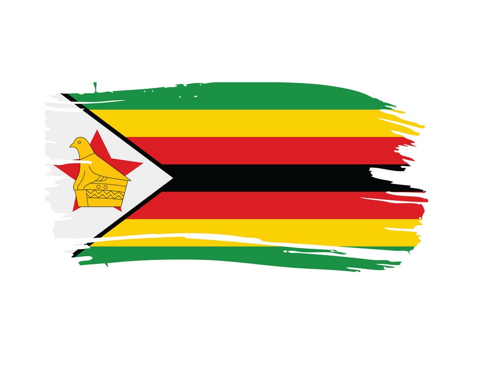 Ambassador-At-Large 🇿🇼 tweet media