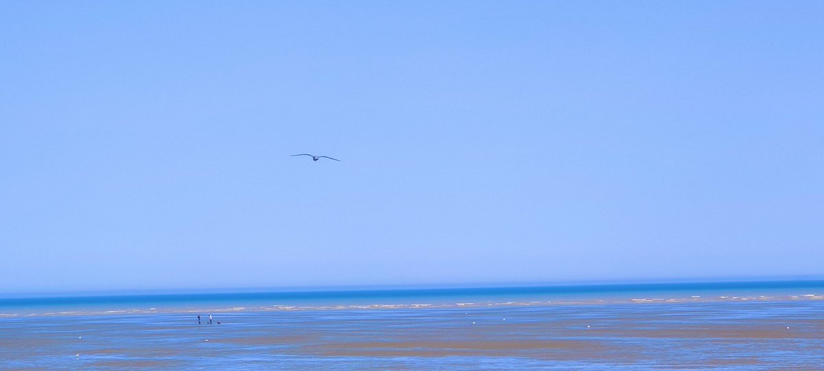 Catgirl1205's tweet photo. Now more than ever it’s so important to look after your own mental health and well-being. Find a new hobby or just make time for the things you enjoy most. This weekend we decided to explore some less well-known #Kent beaches and avoid the crowds. #lydd #refreshed #StaySafe https://t.co/AP5DGJRaWm