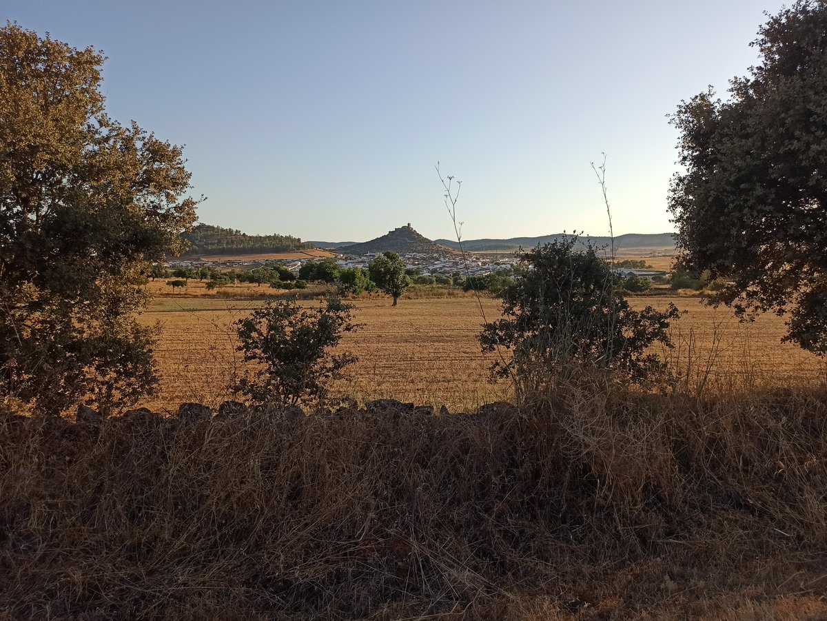 Mundo Rural TV tweet media