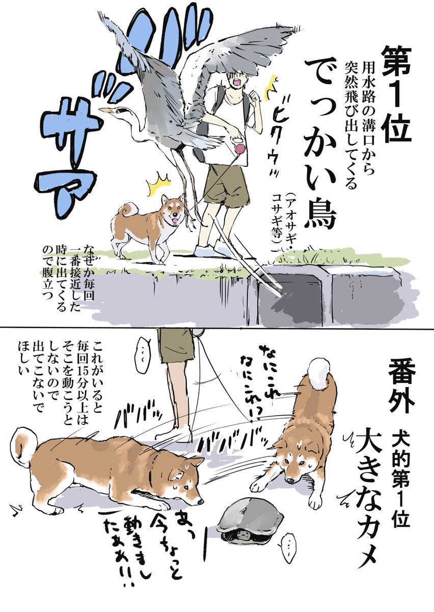 【田んぼ道】犬と散歩中出くわして
ビビった生き物TOP3 