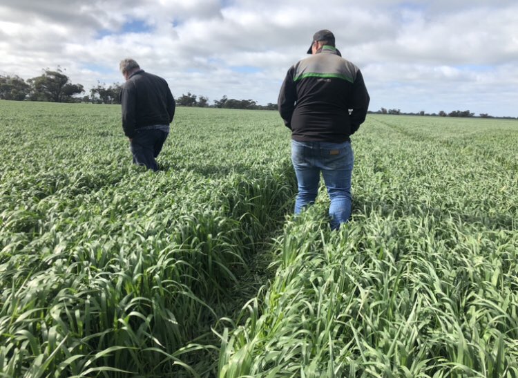 Matt Witney tweet media