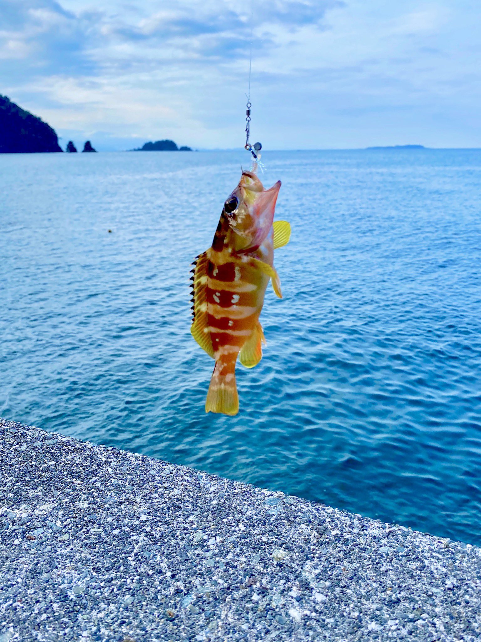 秘宝館 lang:ja - Twitter Search / Twitter