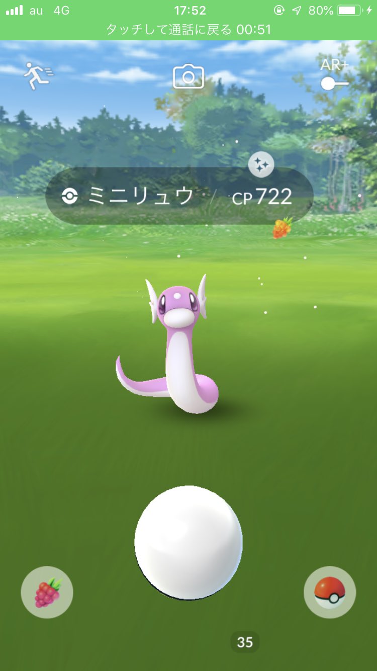 ミニリュウ色違い Twitter Search Twitter