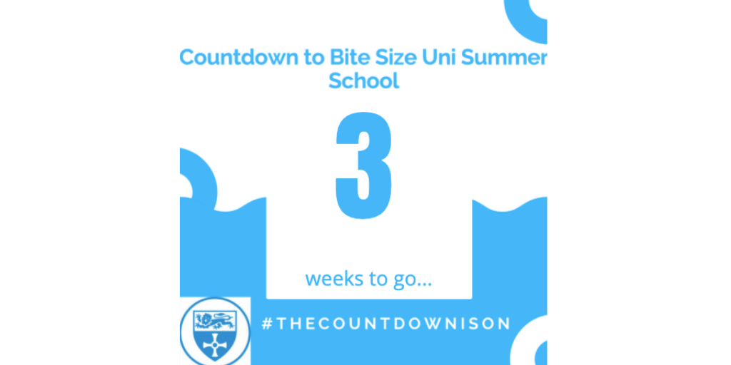 nclsummerschool's tweet photo. #nclbitesize https://t.co/mDjHNx12JN