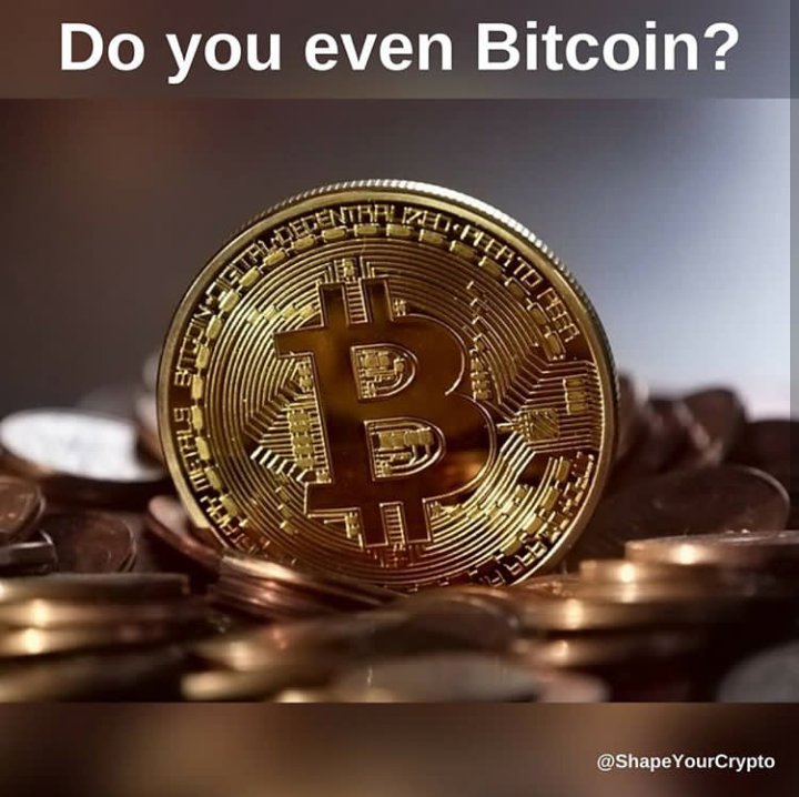 willard_claudia's tweet photo. Answer the question
#trade #ethereum #usa #usd #earnfromhome #wealth #stock #binaryoption #binarytrading #signals #strategies #software #binaryrobot #success #gain #germany #india #donaldtrump #ellendegeneres #drphil https://t.co/ErKAyS7VZ6