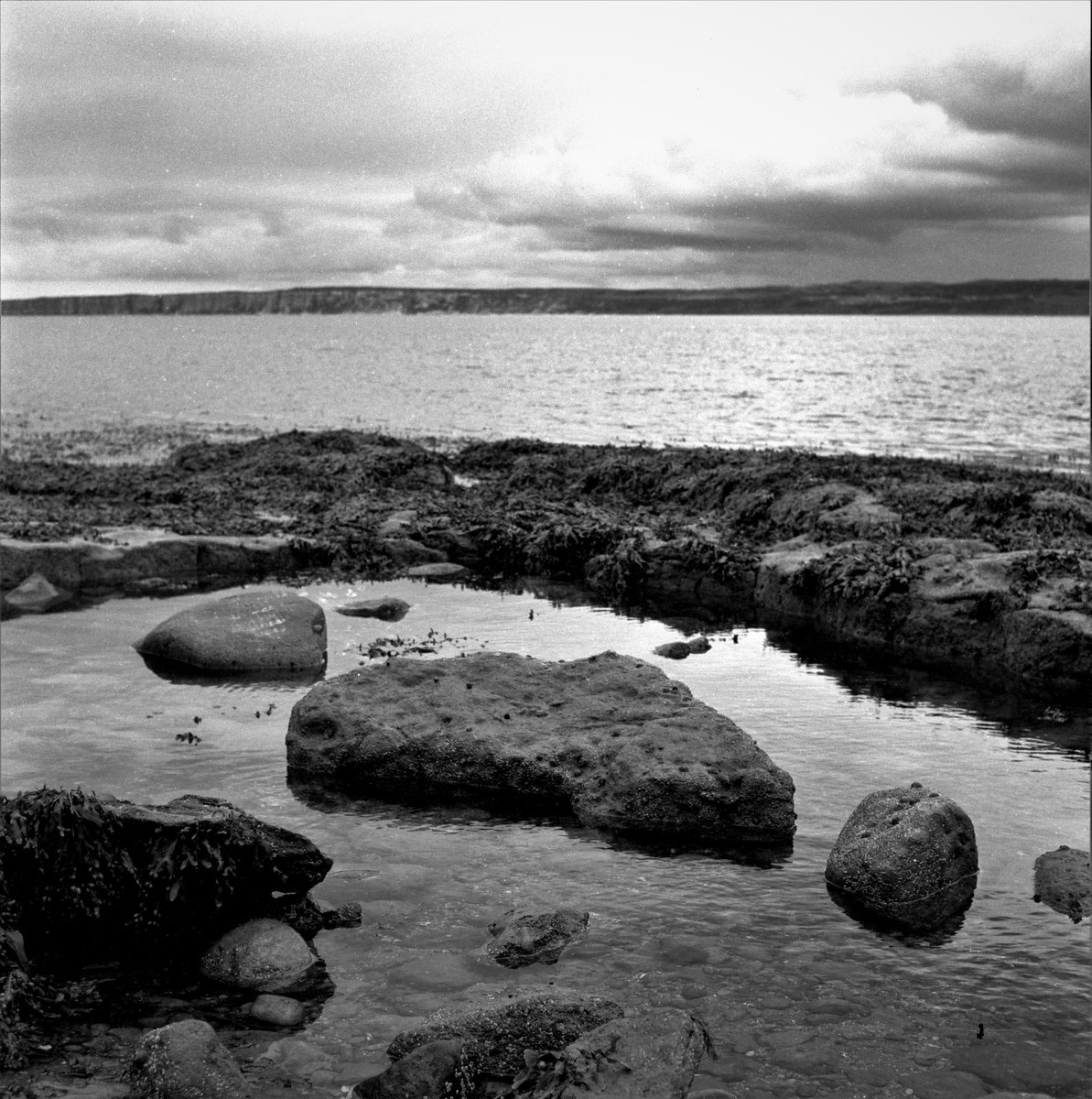 Rich_Roylance's tweet photo. Rock Pool, Filey Brigg

#believeinfilm #fomacz #fomafilm #fomapan100 #mamiyac220 #mediumformat #square
#6x6 #tlr https://t.co/Pe5dkZ19n1