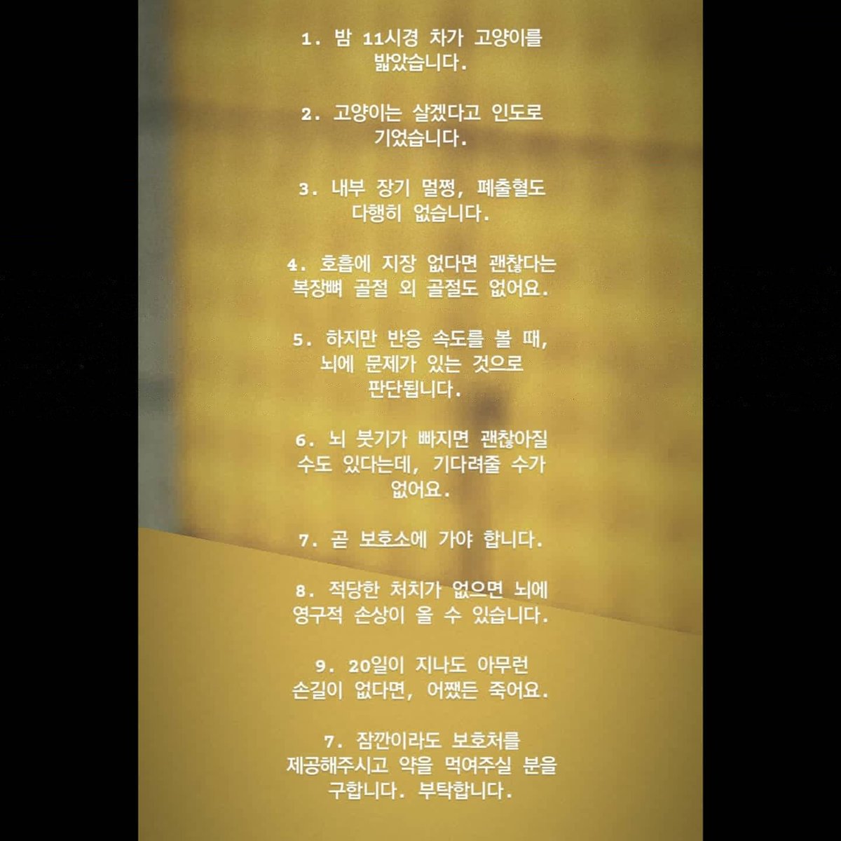 ❗임보처 급구❗
쉽지 않은거 알지만 그래도 구해봅니다 
살고싶어 다친 몸을 이끌고 인도로 스스로 이동한 아이입니다.. 병원에선 더이상 머무를 수 가 없어 임보처 구합니다.. 아이에게 방 한켠, 도움에 손길 내어주실 수 있나요..
지역은 서울 은평구입니다ㅠㅠ
제발 리트윗 많이 해주세요..