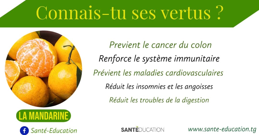 journalsante's tweet photo. Découvrez cette semaine, dans la rubrique #ConnaisTuSesVertus la mandarine un fruit aux vertus très intéressantes.
#SanteEducation
#PromoSante
#ConnaisTuSesVertus
#Togo https://t.co/Pn7blF5DLI