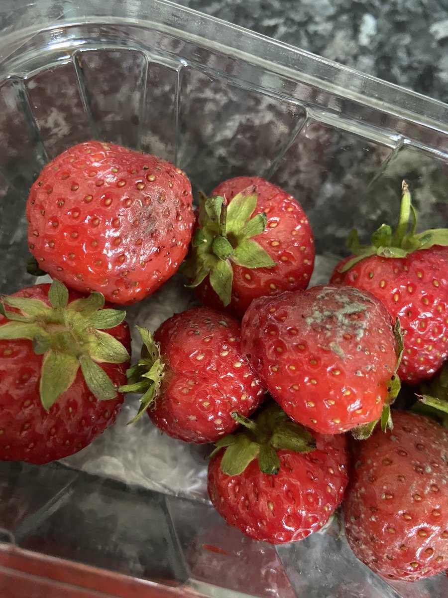 LABW95's tweet photo. @AldiUK why does your fruit and veg always go off so quick 😔 these haven’t even gone out of date yet and the strawberry’s are already moldy 😩 https://t.co/wle0CEei0R