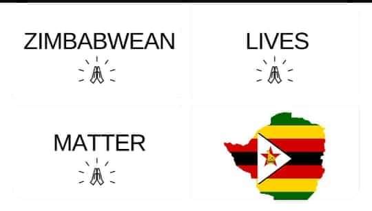 Cleomanyika's tweet photo. #ZimbabweanLivesMatter https://t.co/CucF8NMvhh